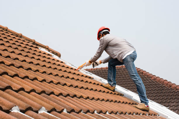 Best Green or Eco-Friendly Roofing Solutions  in Manhattan, NY